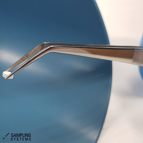 Angled Forceps - 316L stainless steel